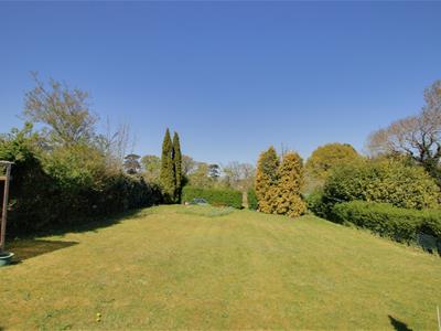 Picture 22
